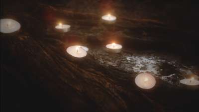 Willow Lights Memory