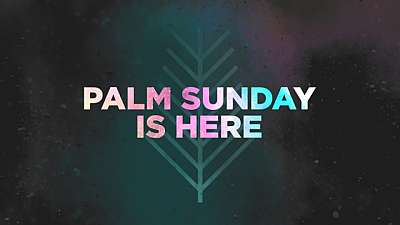 Palm Sunday Is Here
