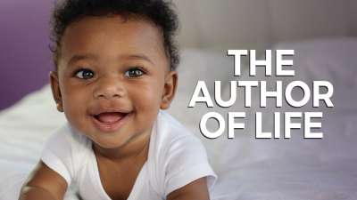 The Author Of Life
