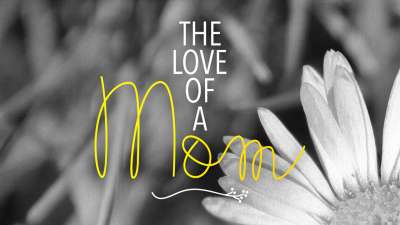 The Love Of A Mom