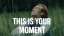 This Is Your Moment