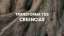Transforma tus Creencias
