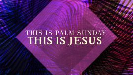 This Is Palm Sunday